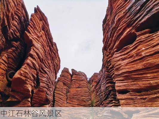 中江石林谷风景区