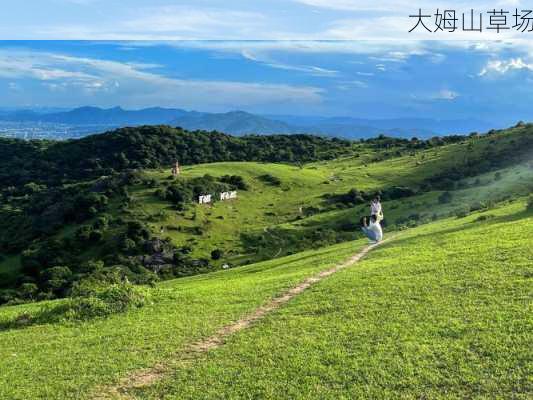 大姆山草场