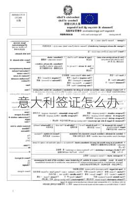 意大利签证怎么办