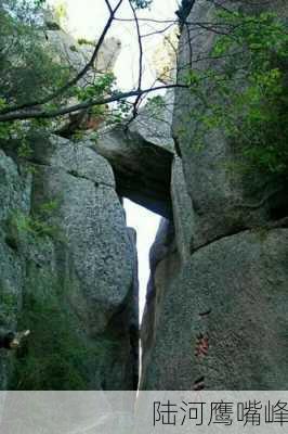 陆河鹰嘴峰