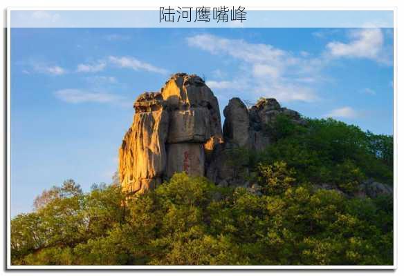 陆河鹰嘴峰