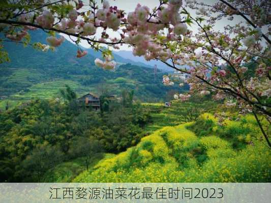 江西婺源油菜花最佳时间2023