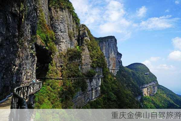 重庆金佛山自驾旅游