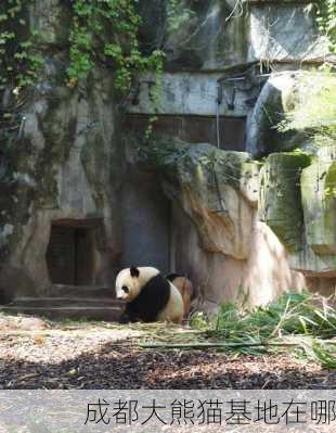 成都大熊猫基地在哪