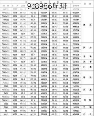 9c8986航班