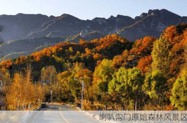 喇叭沟门原始森林风景区