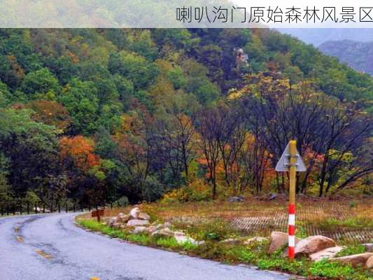 喇叭沟门原始森林风景区