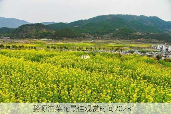 婺源油菜花最佳观赏时间2023年