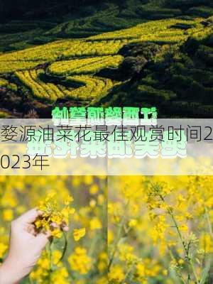 婺源油菜花最佳观赏时间2023年