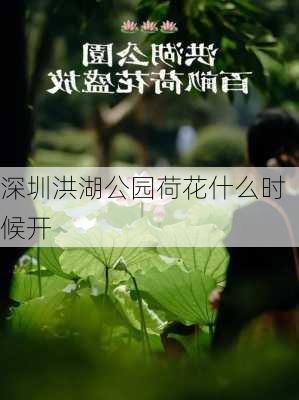 深圳洪湖公园荷花什么时候开