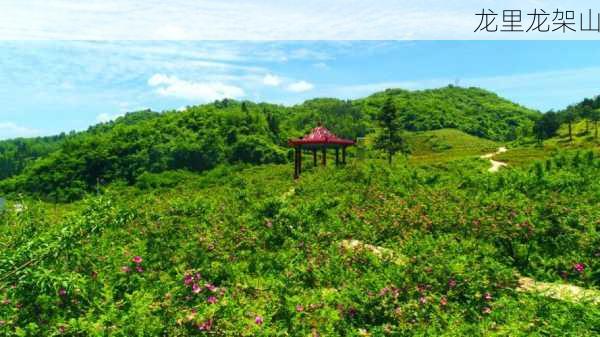 龙里龙架山