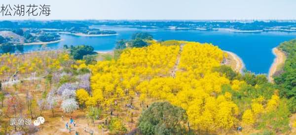 松湖花海