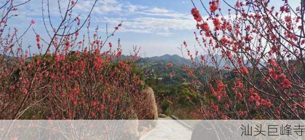 汕头巨峰寺