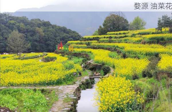 婺源 油菜花